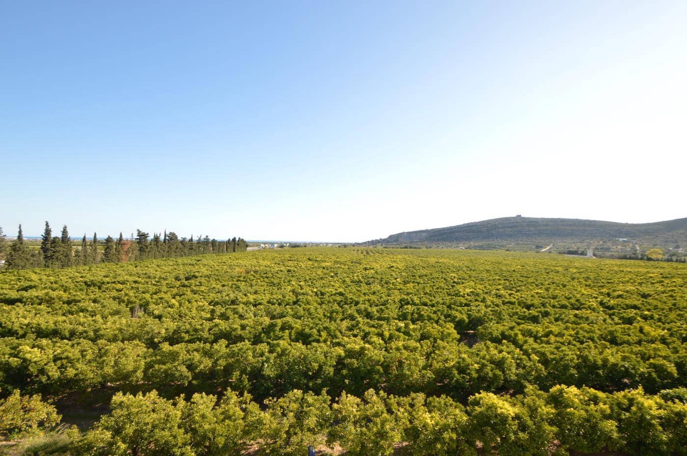 6 soverom Finca/Herregård til salgs i Vinaros med svømmebasseng garasje - € 1 690 000 (Ref: 5115888)