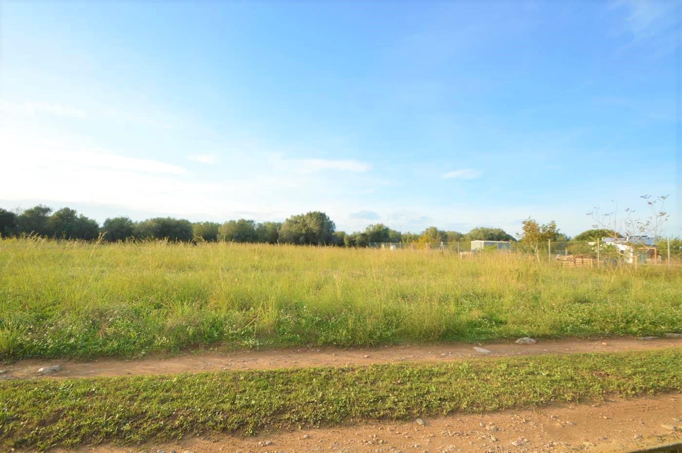 Finca/Country House for sale in Vinaros - € 24,000 (Ref: 7233050)