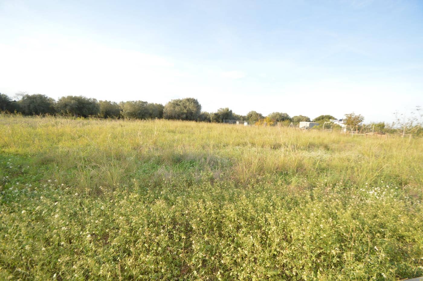 Finca/Country House for sale in Vinaros - € 24,000 (Ref: 7233050)