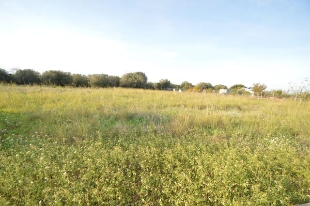 Finca/Country House for sale in Vinaròs - € 24,000 (Ref: 7233050)