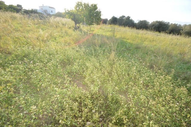 Finca/Country House for sale in Vinaròs - € 24,000 (Ref: 7233050)