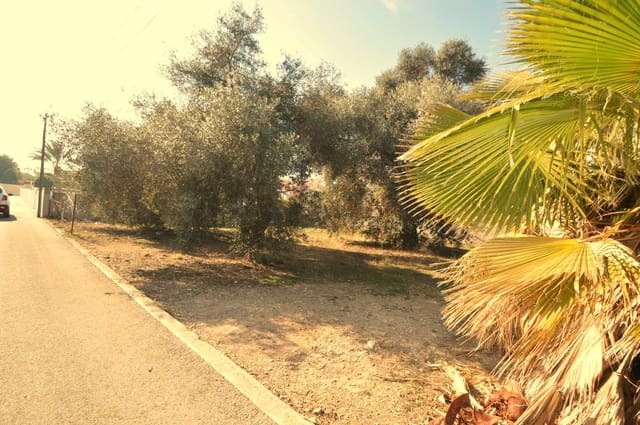 Bouwgrond te koop in Vinaròs - € 100.000 (Ref: 7475982)