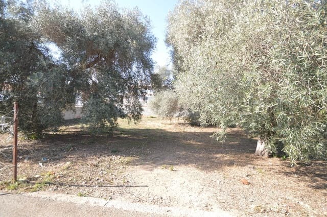 Bouwgrond te koop in Vinaròs - € 100.000 (Ref: 7475982)
