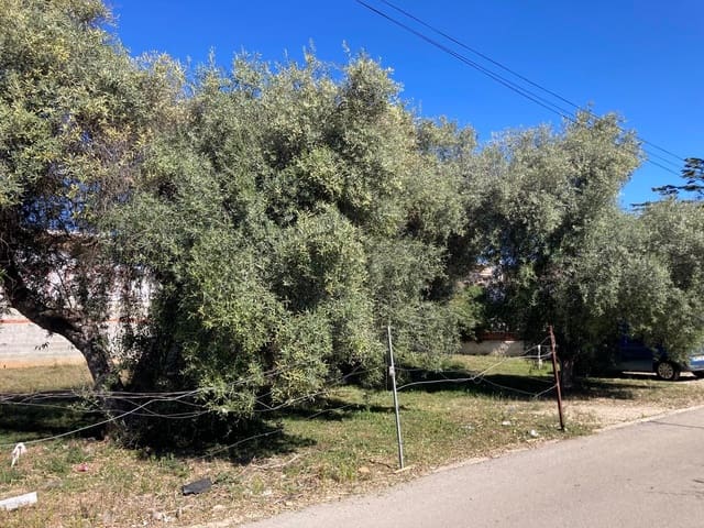 Bouwgrond te koop in Vinaròs - € 100.000 (Ref: 7475982)