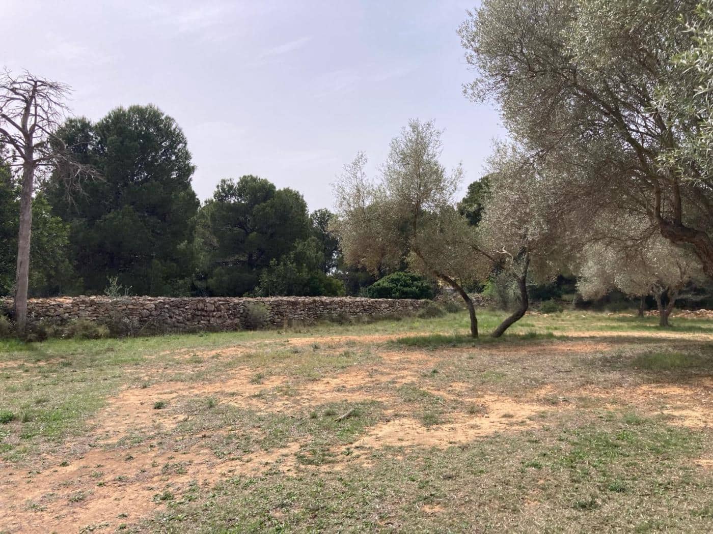 Byggegrund til salg i Sant Jordi - € 90.000 (Ref: 8210111)