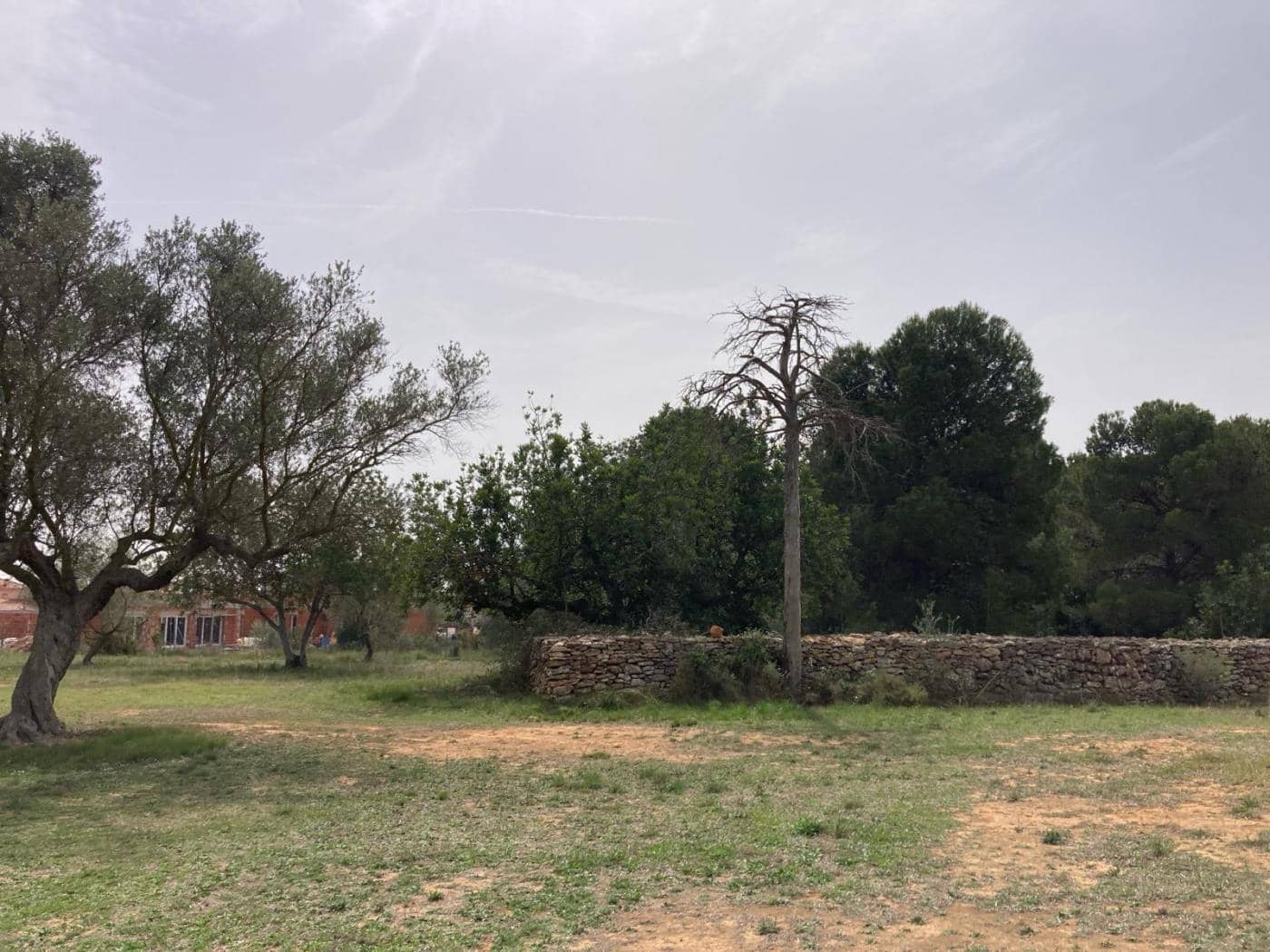 Byggegrund til salg i Sant Jordi - € 90.000 (Ref: 8210111)