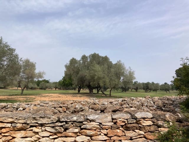 Building Plot for sale in Sant Jordi - € 90,000 (Ref: 8210111)