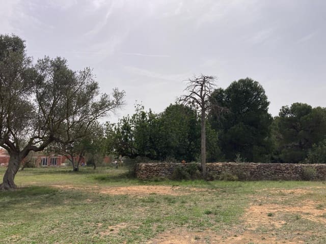 Building Plot for sale in Sant Jordi - € 90,000 (Ref: 8210111)