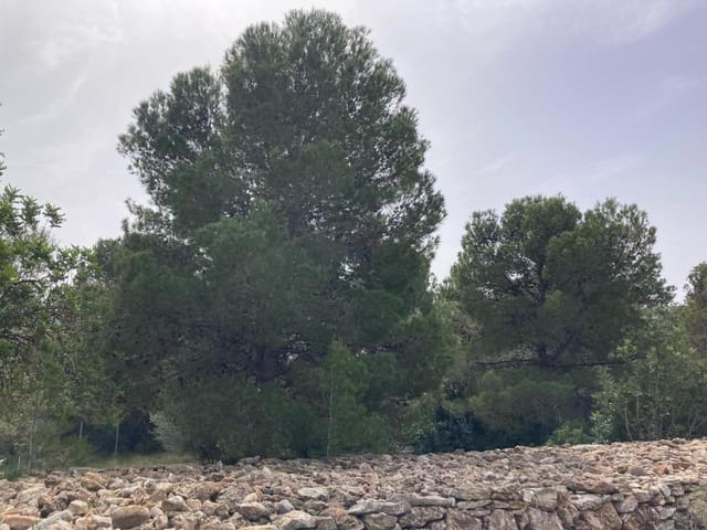 Building Plot for sale in Sant Jordi - € 90,000 (Ref: 8210111)