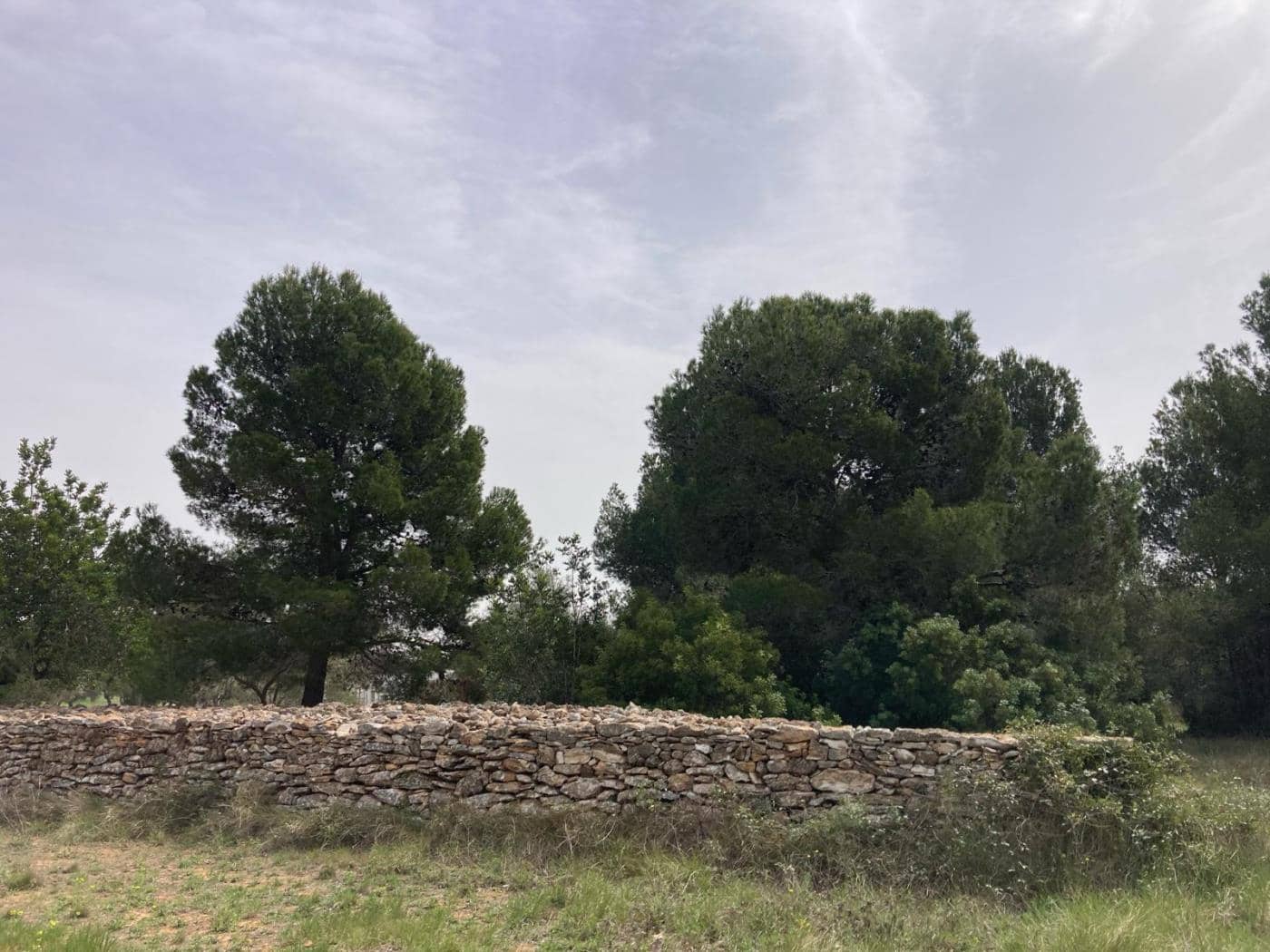 Byggegrund til salg i Sant Jordi - € 90.000 (Ref: 8210111)