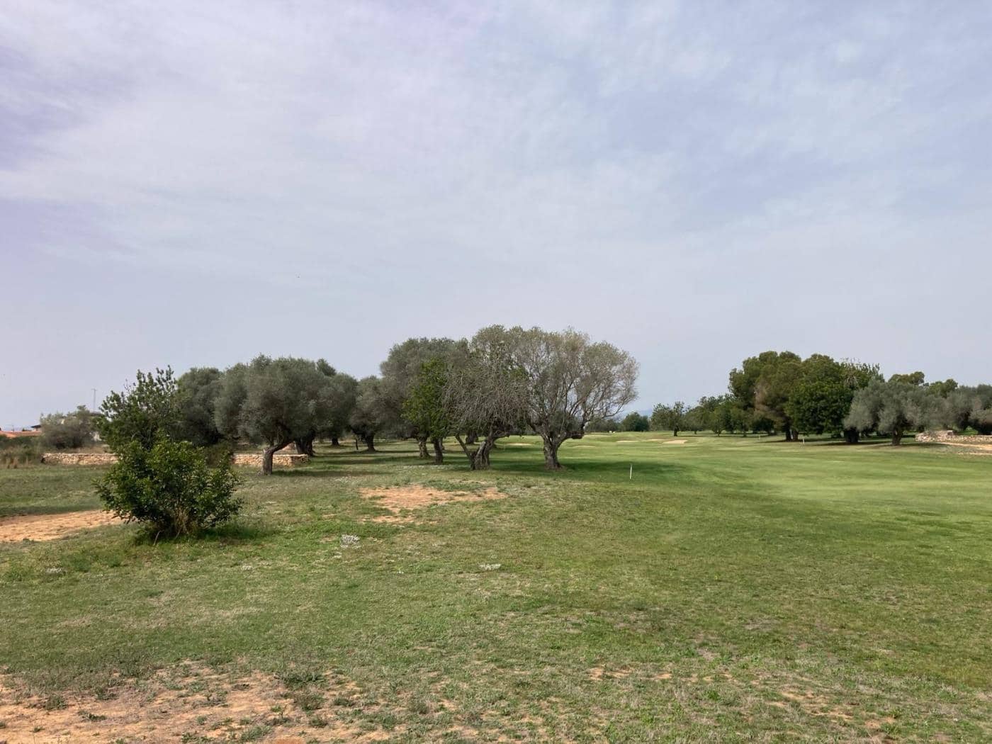 Byggegrund til salg i Sant Jordi - € 90.000 (Ref: 8210111)