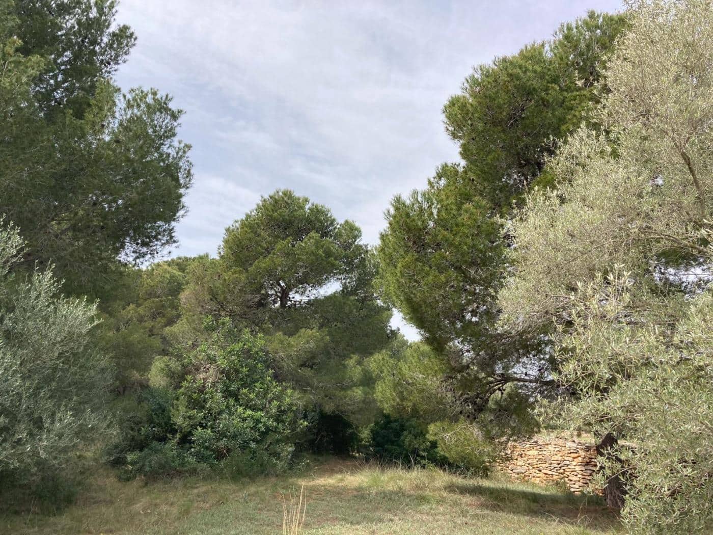 Byggegrund til salg i Sant Jordi - € 90.000 (Ref: 8210111)