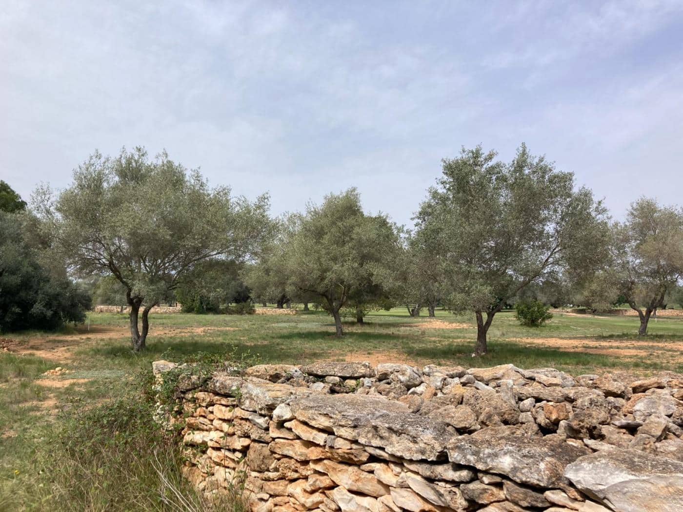 Byggegrund til salg i Sant Jordi - € 90.000 (Ref: 8210111)