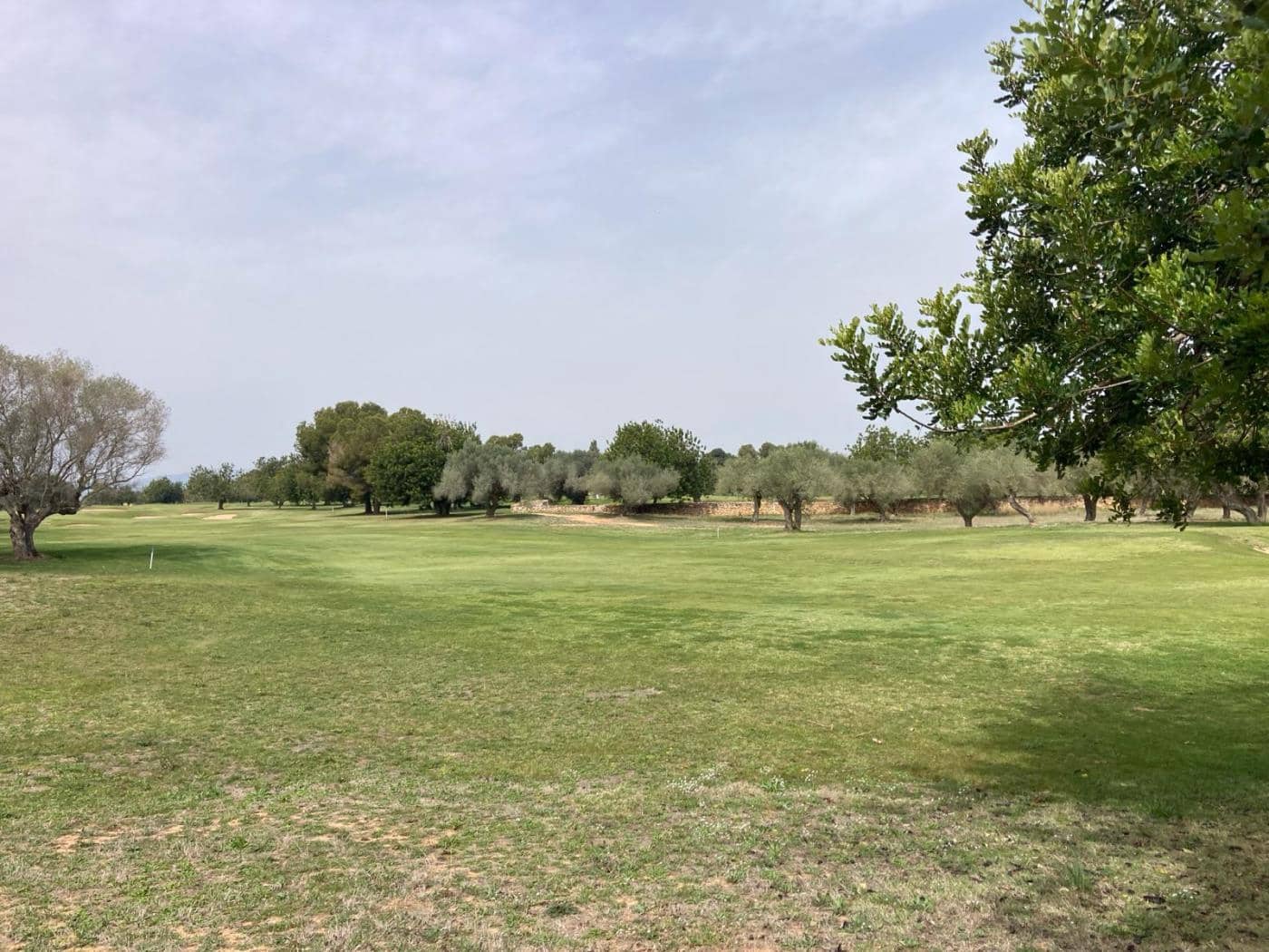 Byggegrund til salg i Sant Jordi - € 90.000 (Ref: 8210111)