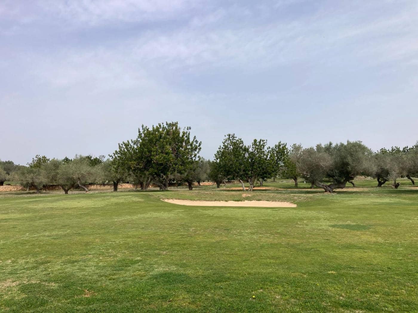 Byggegrund til salg i Sant Jordi - € 90.000 (Ref: 8210111)