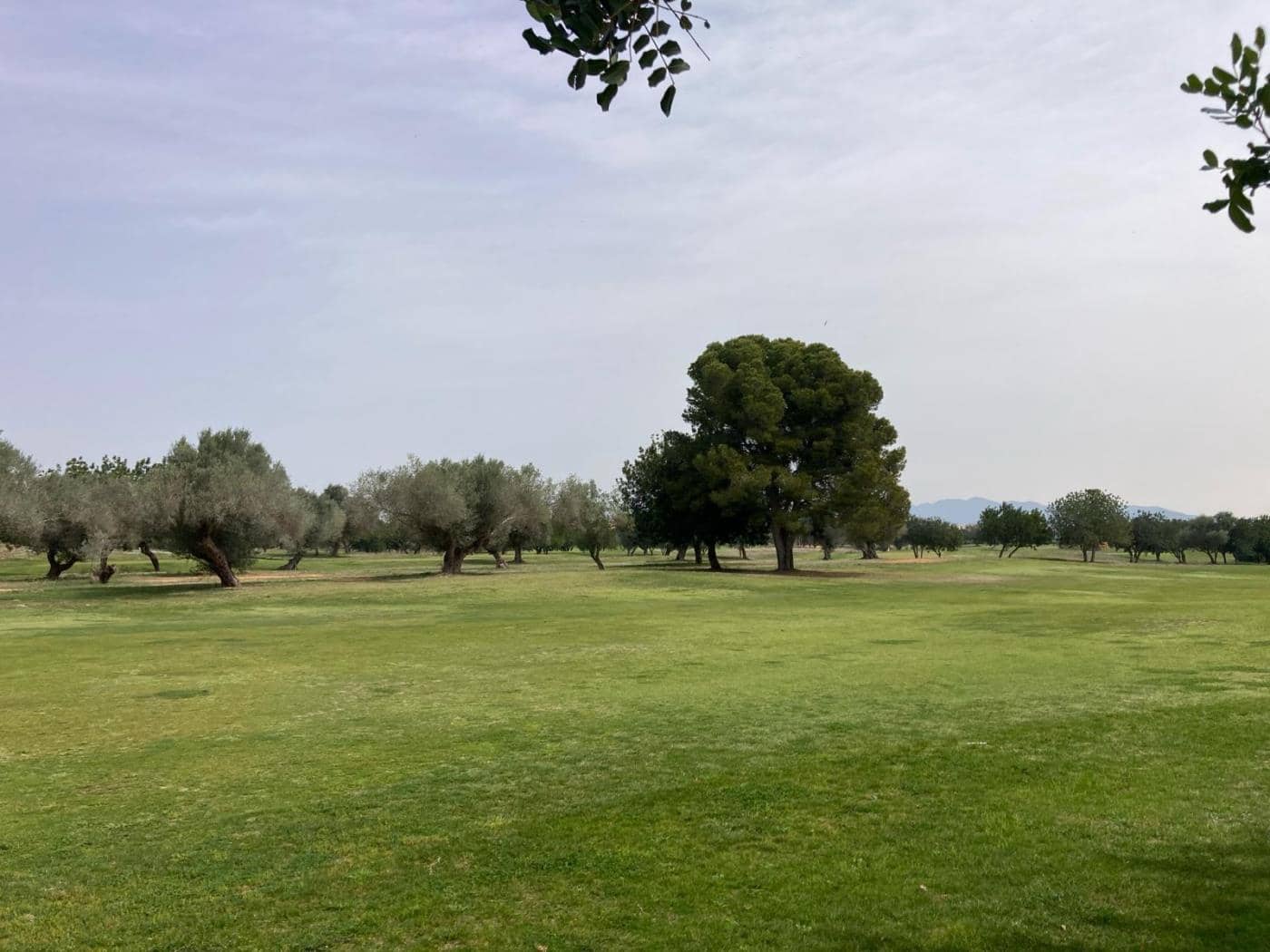 Byggegrund til salg i Sant Jordi - € 90.000 (Ref: 8210111)