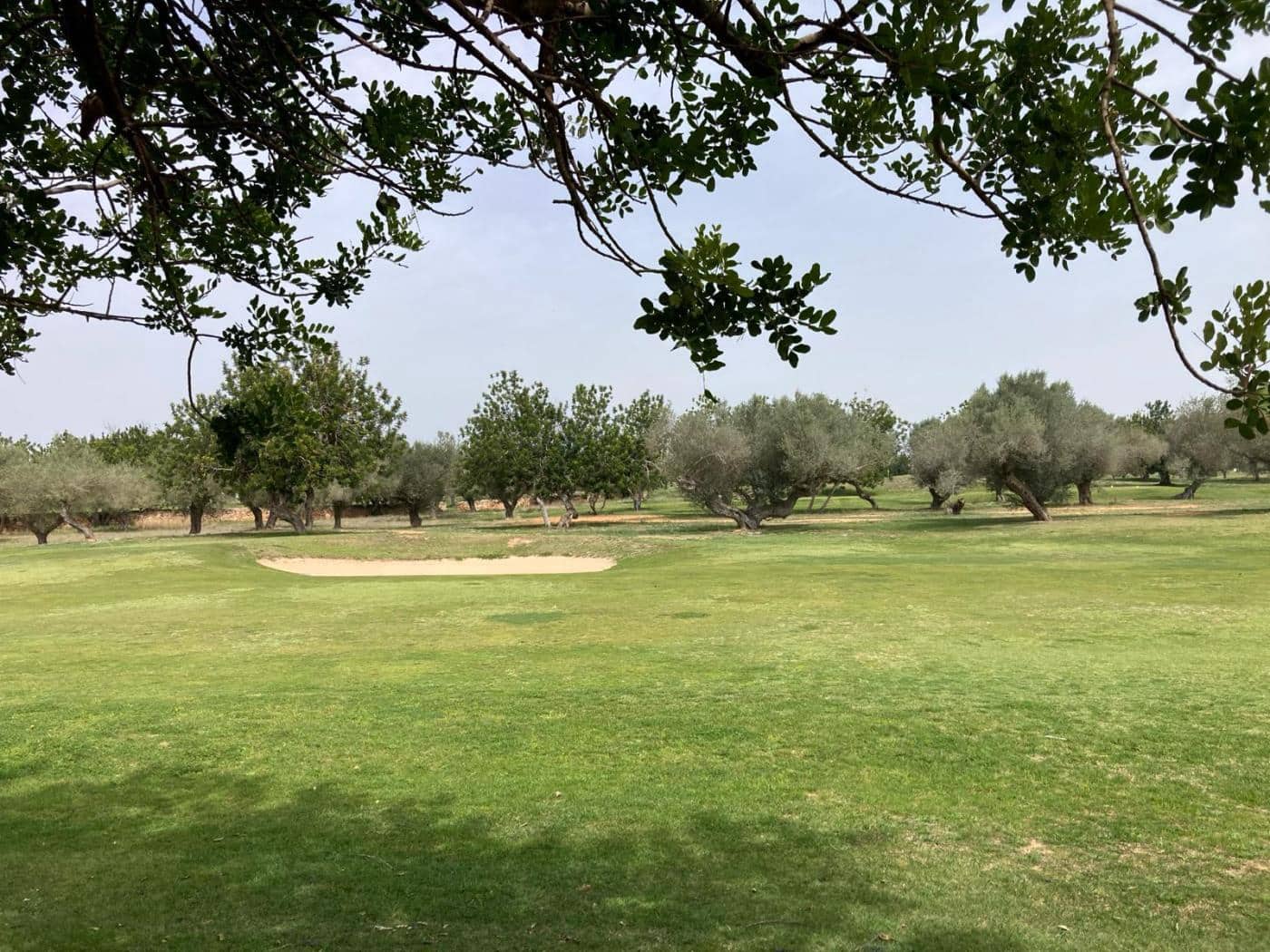 Byggegrund til salg i Sant Jordi - € 90.000 (Ref: 8210111)