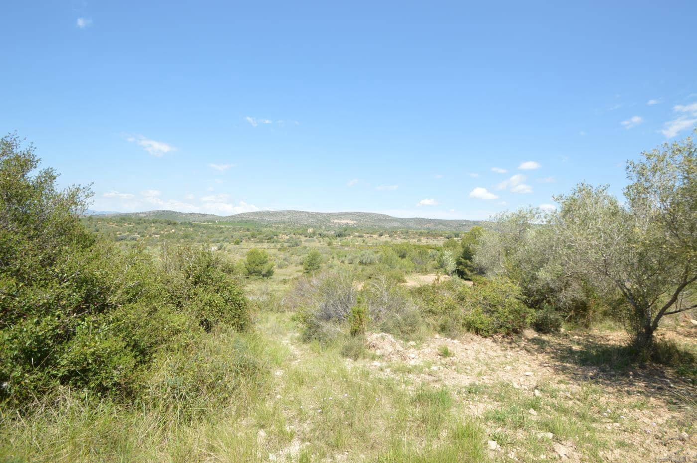 1 soverom Finca/Herregård til salgs i Alcala de Xivert - € 156 000 (Ref: 8347412)