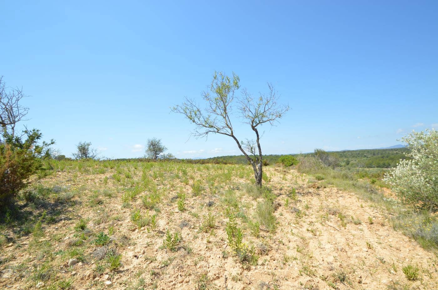 1 soverom Finca/Herregård til salgs i Alcala de Xivert - € 156 000 (Ref: 8347412)