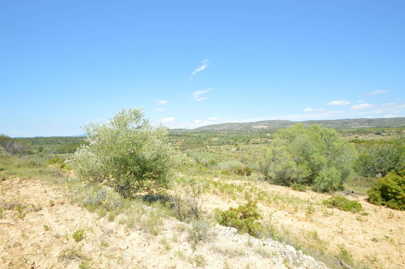 1 soverom Finca/Herregård til salgs i Alcala de Xivert - € 156 000 (Ref: 8347412)