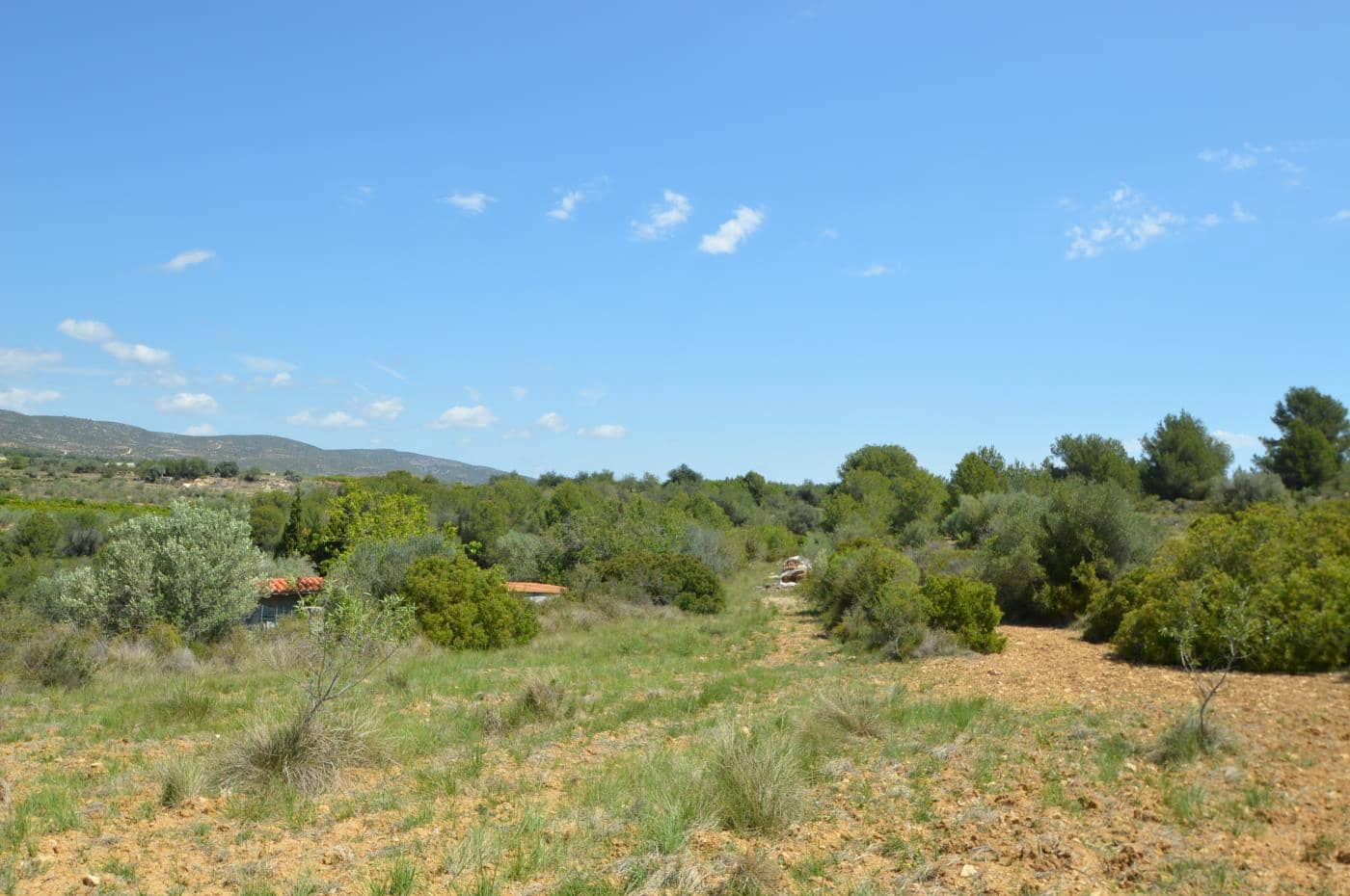 1 soverom Finca/Herregård til salgs i Alcala de Xivert - € 156 000 (Ref: 8347412)