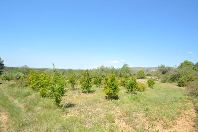 1 Zimmer Finca/Landgut zu verkaufen in Alcalá de Xivert - 156.000 € (Ref: 8347412)