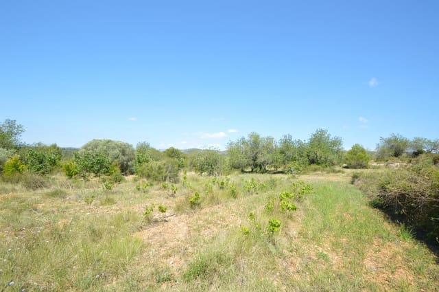 1 Zimmer Finca/Landgut zu verkaufen in Alcalá de Xivert - 156.000 € (Ref: 8347412)