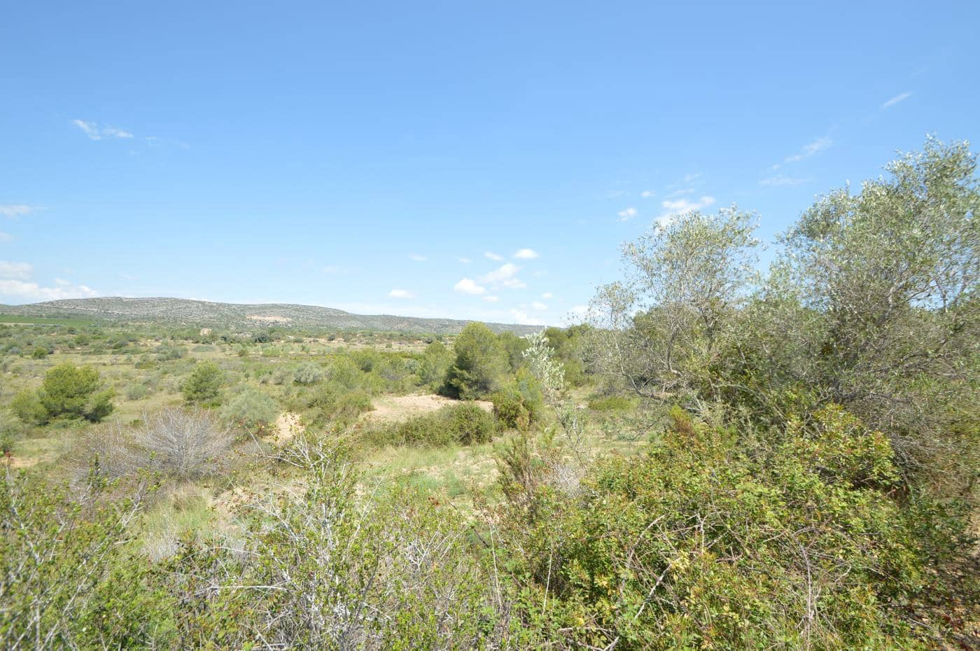 1 soverom Finca/Herregård til salgs i Alcala de Xivert - € 156 000 (Ref: 8347412)