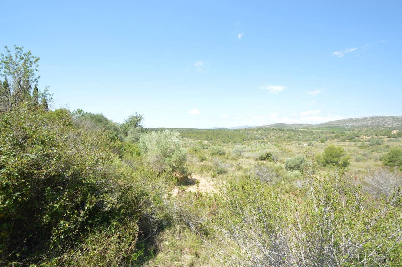 1 soverom Finca/Herregård til salgs i Alcala de Xivert - € 156 000 (Ref: 8347412)