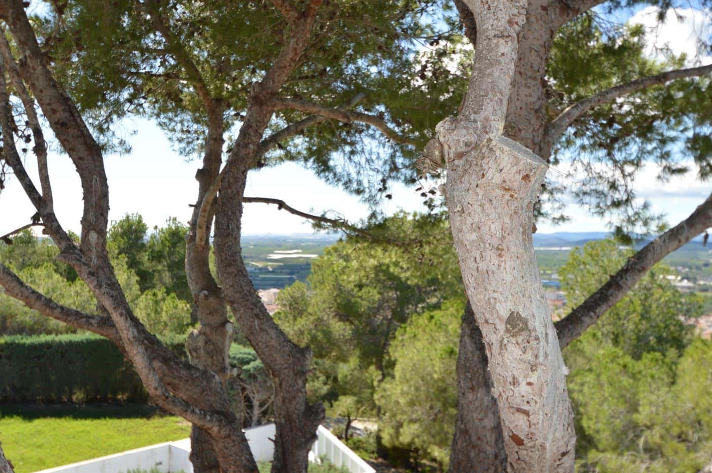 5 soveværelse Villa til salg i Alcanar med swimmingpool garage - € 475.000 (Ref: 8600340)