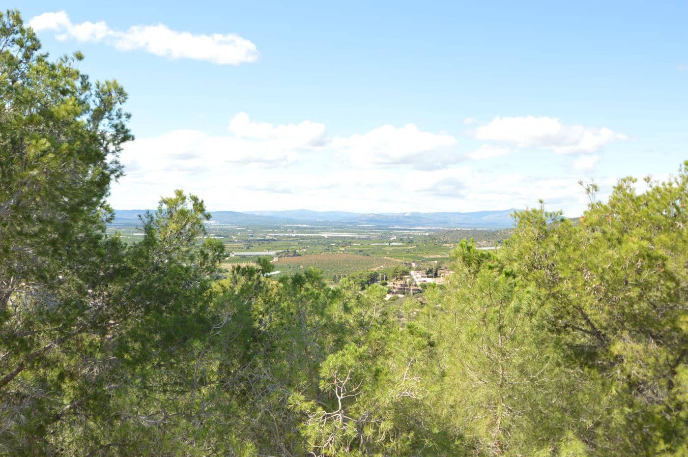 5 soveværelse Villa til salg i Alcanar med swimmingpool garage - € 475.000 (Ref: 8600340)