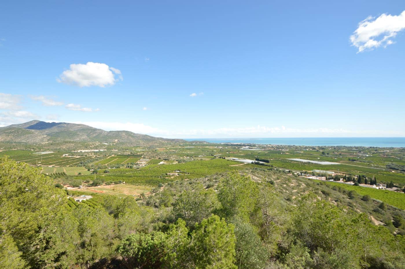 5 soveværelse Villa til salg i Alcanar med swimmingpool garage - € 475.000 (Ref: 8600340)