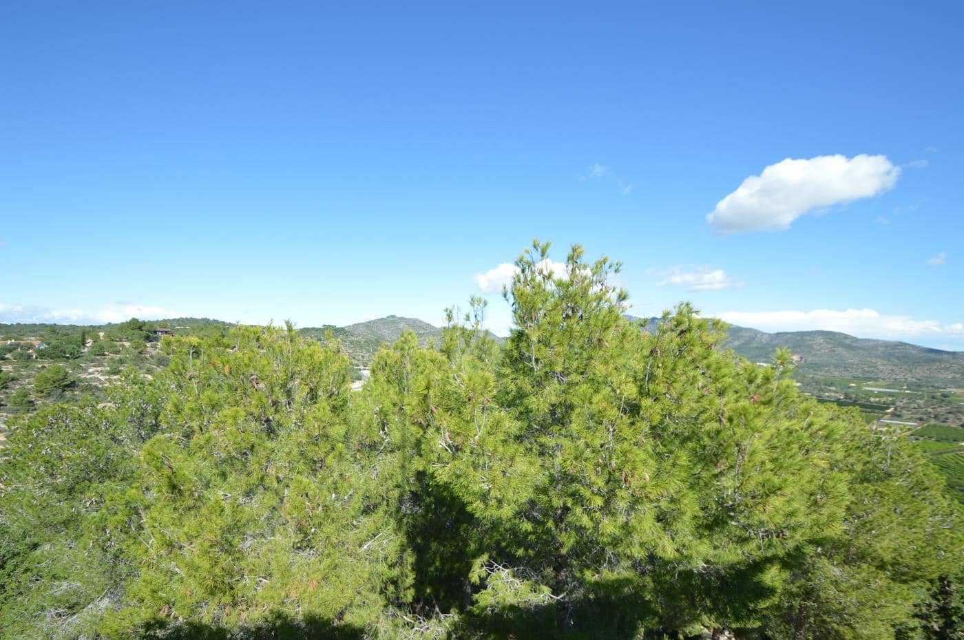 5 soveværelse Villa til salg i Alcanar med swimmingpool garage - € 475.000 (Ref: 8600340)