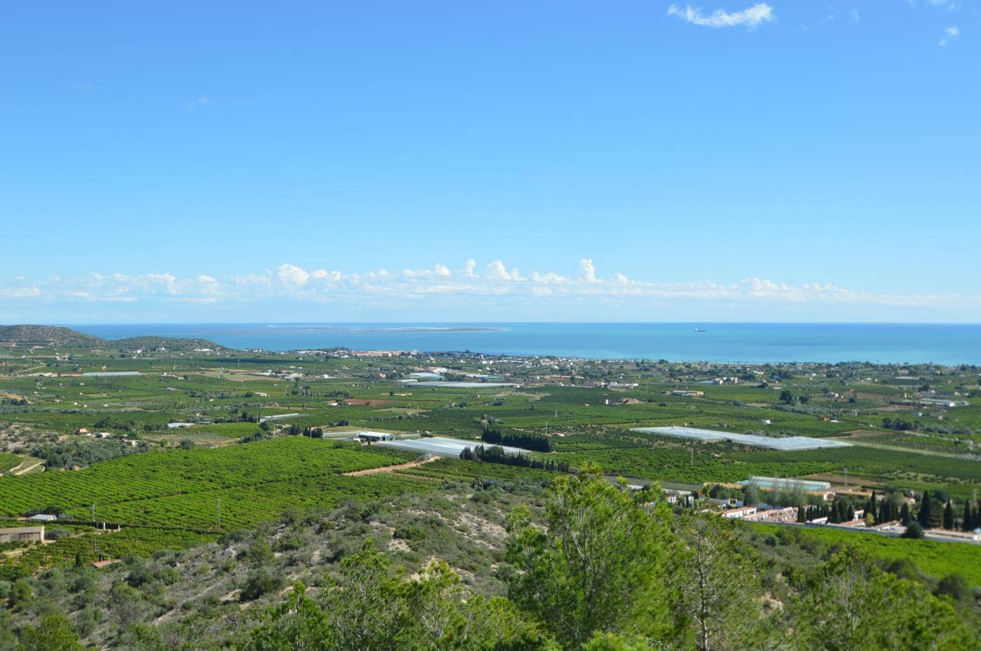 5 soveværelse Villa til salg i Alcanar med swimmingpool garage - € 475.000 (Ref: 8600340)