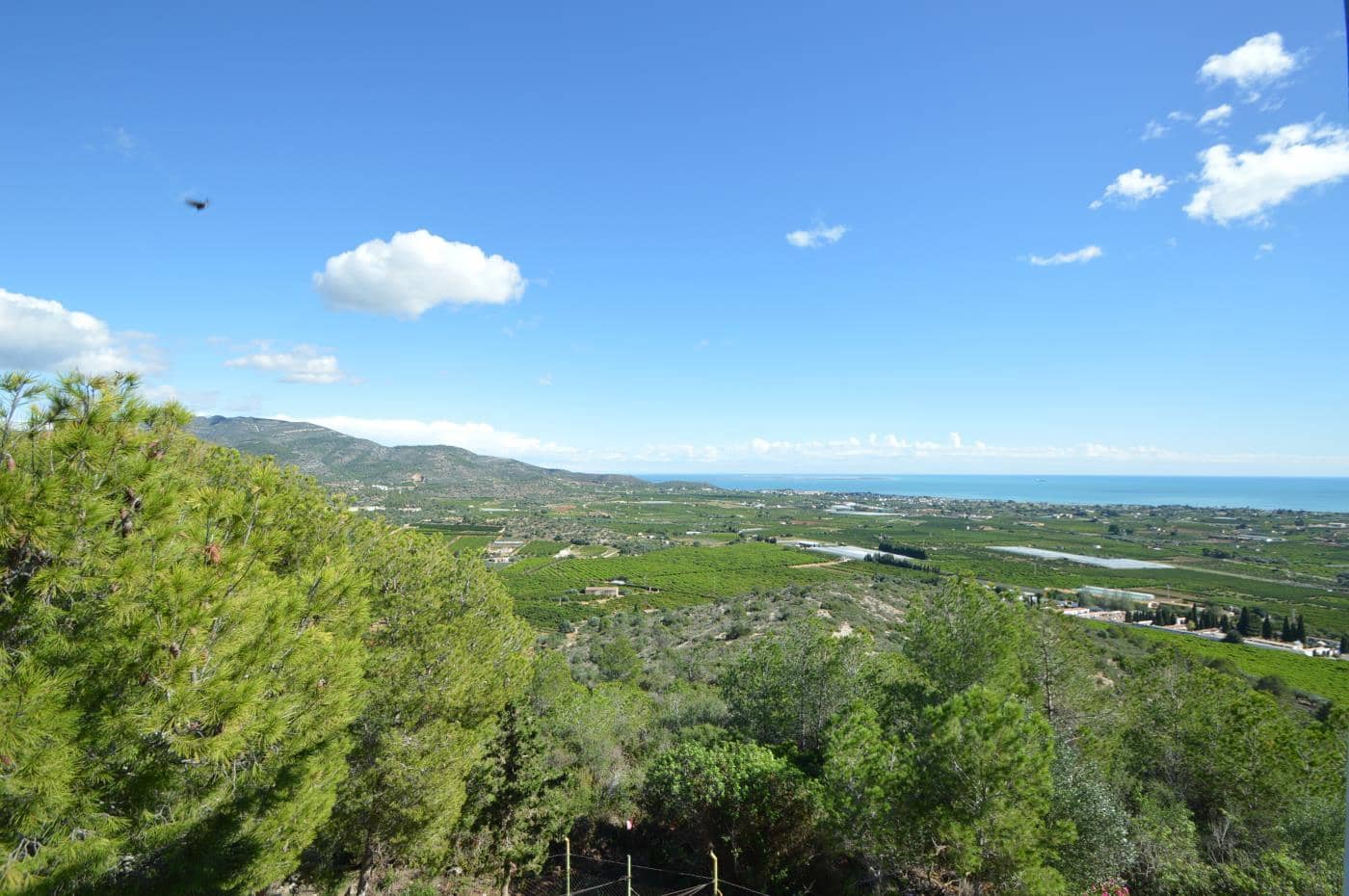 5 soveværelse Villa til salg i Alcanar med swimmingpool garage - € 475.000 (Ref: 8600340)