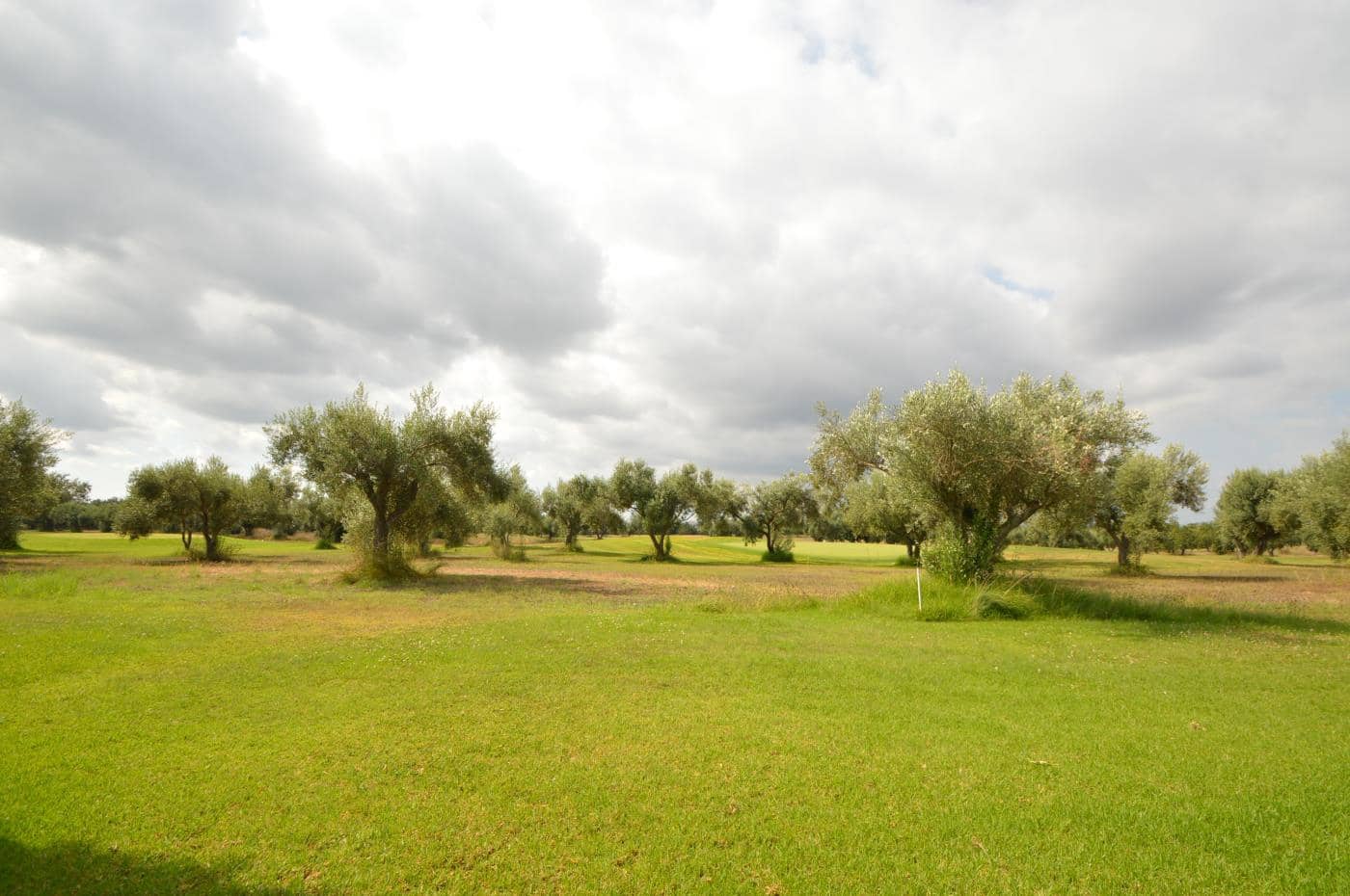 2 sovrum Lägenhet till salu i Sant Jordi med pool garage - 130 000 € (Ref: 8697239)