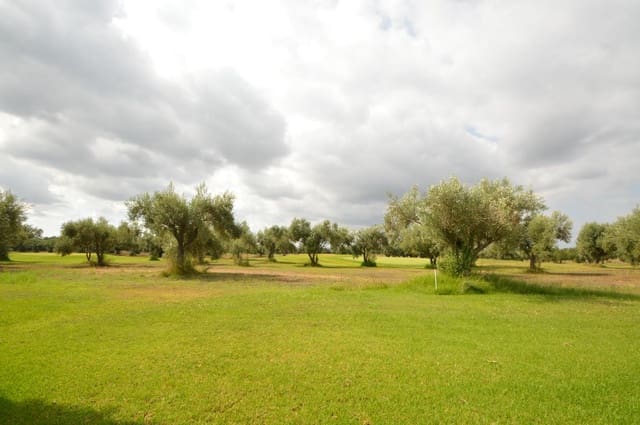 2 slaapkamer Appartement te koop in Sant Jordi met zwembad garage - € 130.000 (Ref: 8697239)