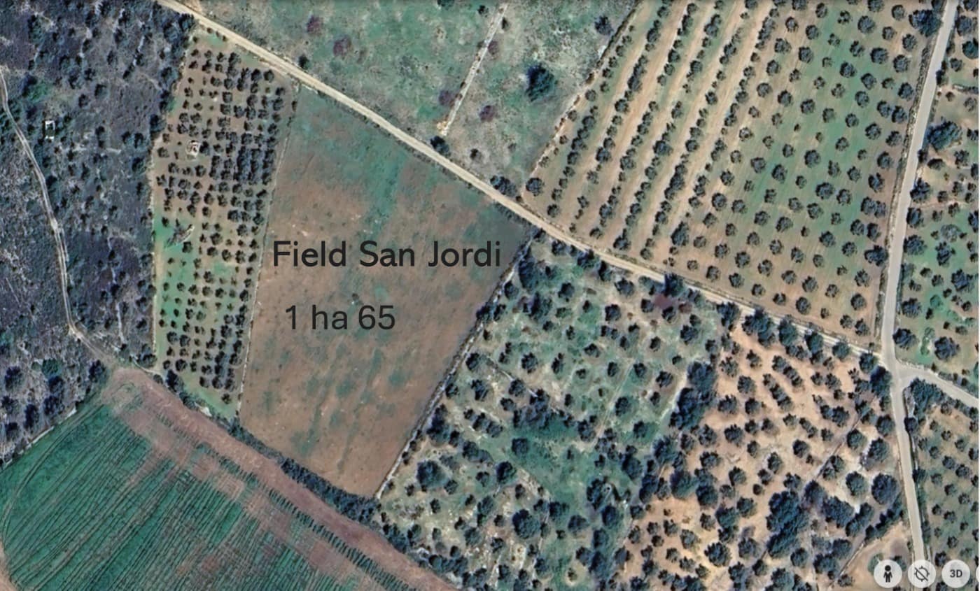 Finca/Landhuis te koop in Sant Jordi - € 55.000 (Ref: 8769807)