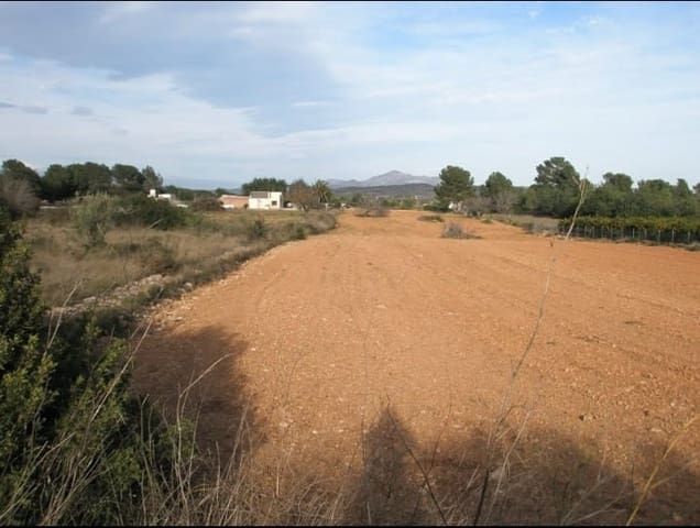 Finca/Country House for sale in Benicarló - € 53,000 (Ref: 8994081)