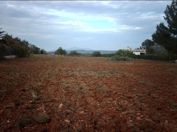 Finca/Landhuis te koop in Benicarlo - € 53.000 (Ref: 8994081)