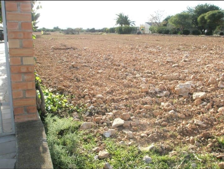 Finca/Landhuis te koop in Benicarlo - € 53.000 (Ref: 8994081)