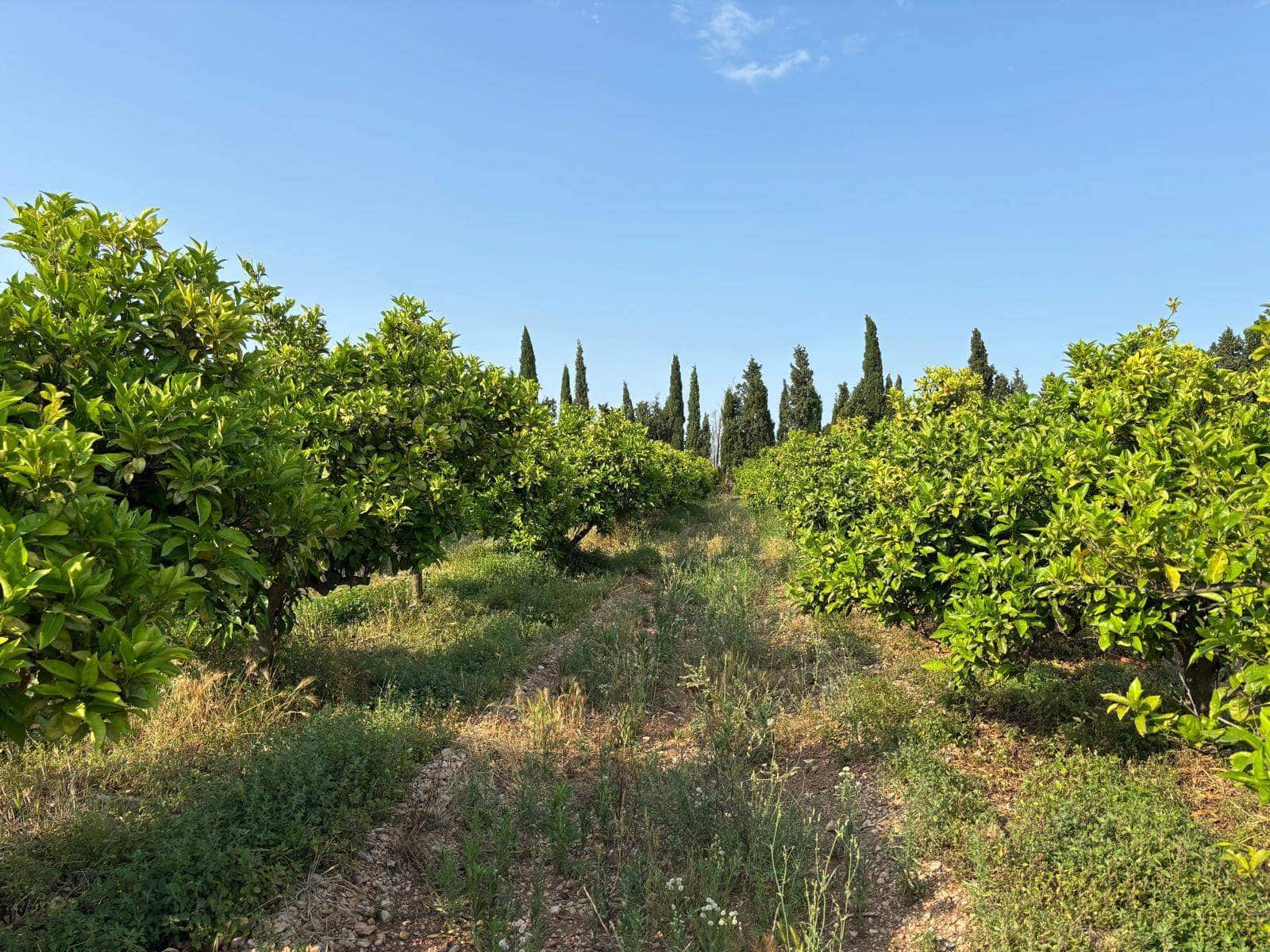 3 soveværelse Finca/Landehus til salg i Vinaros med garage - € 270.000 (Ref: 9061515)