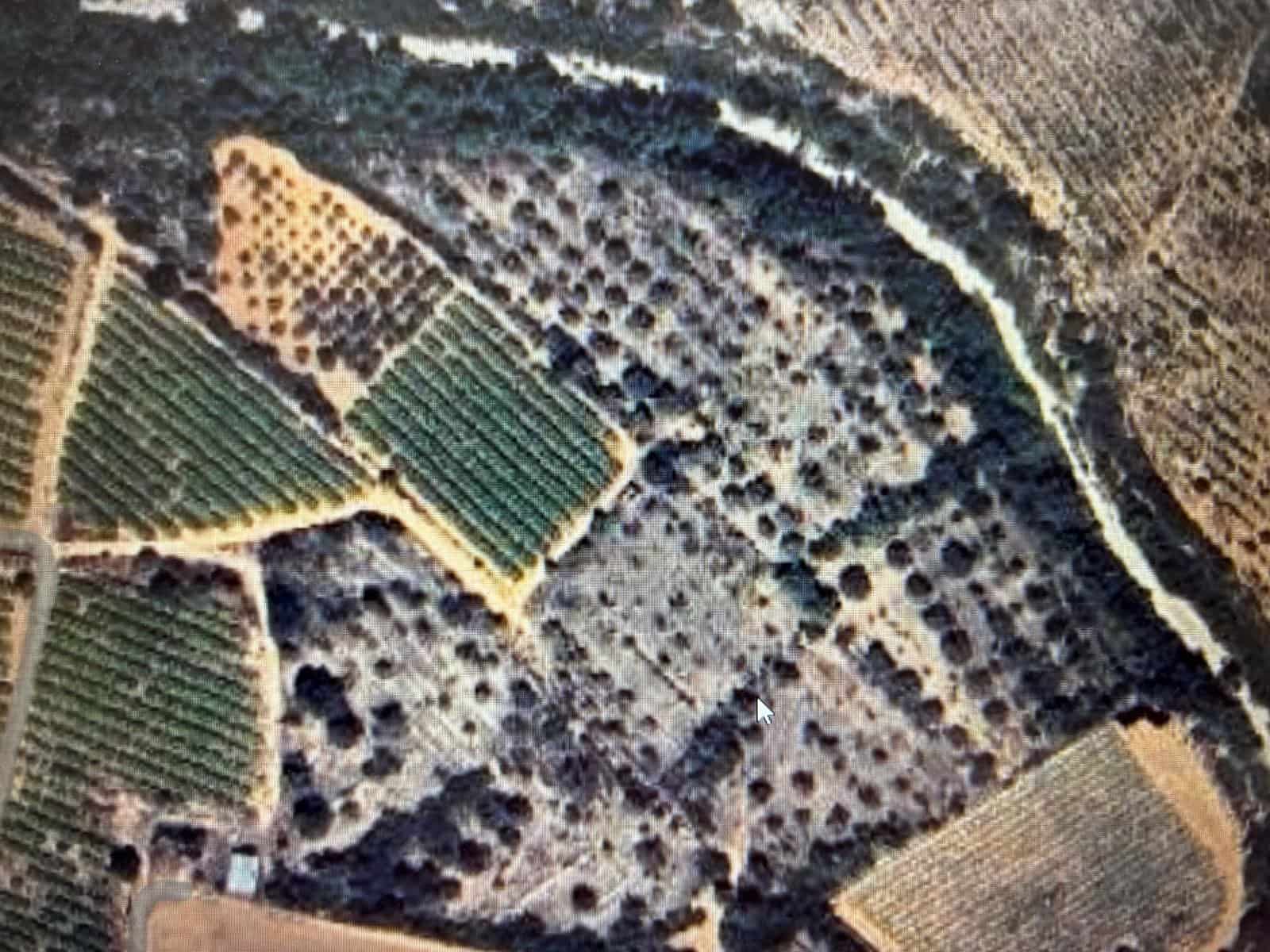 Finca/Landhuis te koop in Benicarlo - € 65.000 (Ref: 9072567)