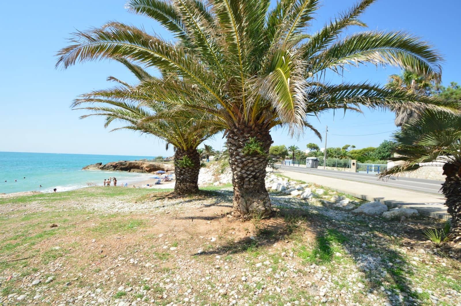 3 soveværelse Lejlighed til salg i Vinaros med swimmingpool garage - € 360.000 (Ref: 9135915)