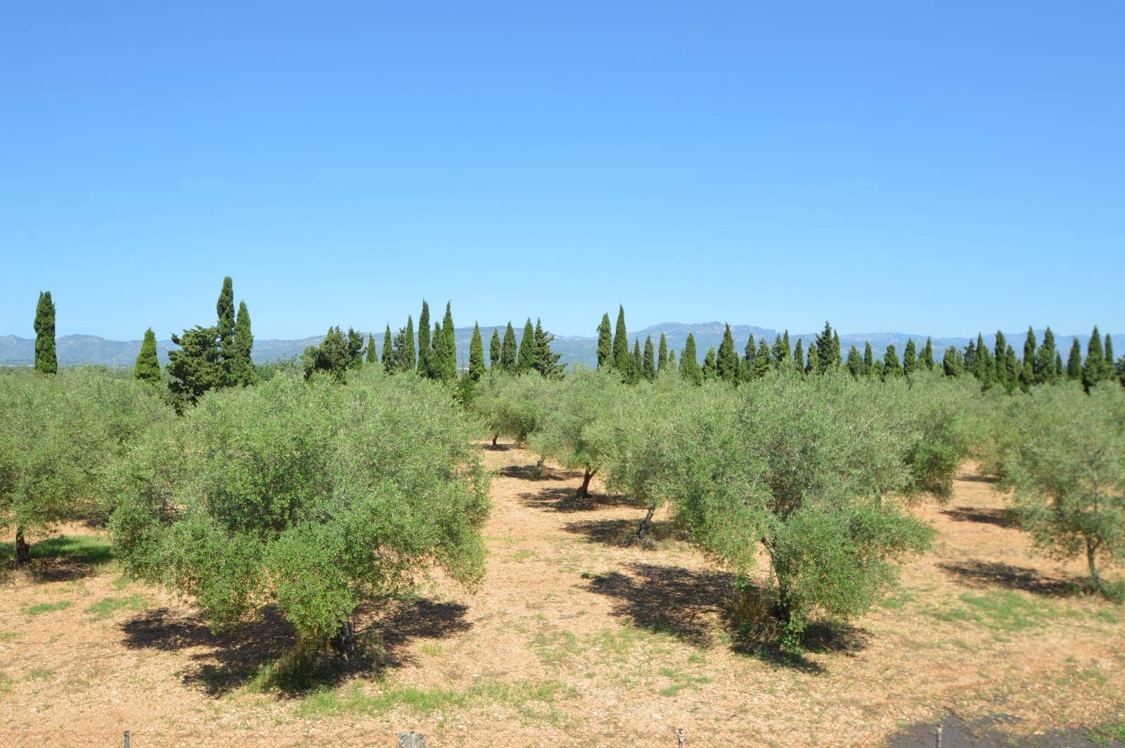 3 soveværelse Finca/Landehus til salg i Ulldecona med swimmingpool garage - € 365.000 (Ref: 9184318)