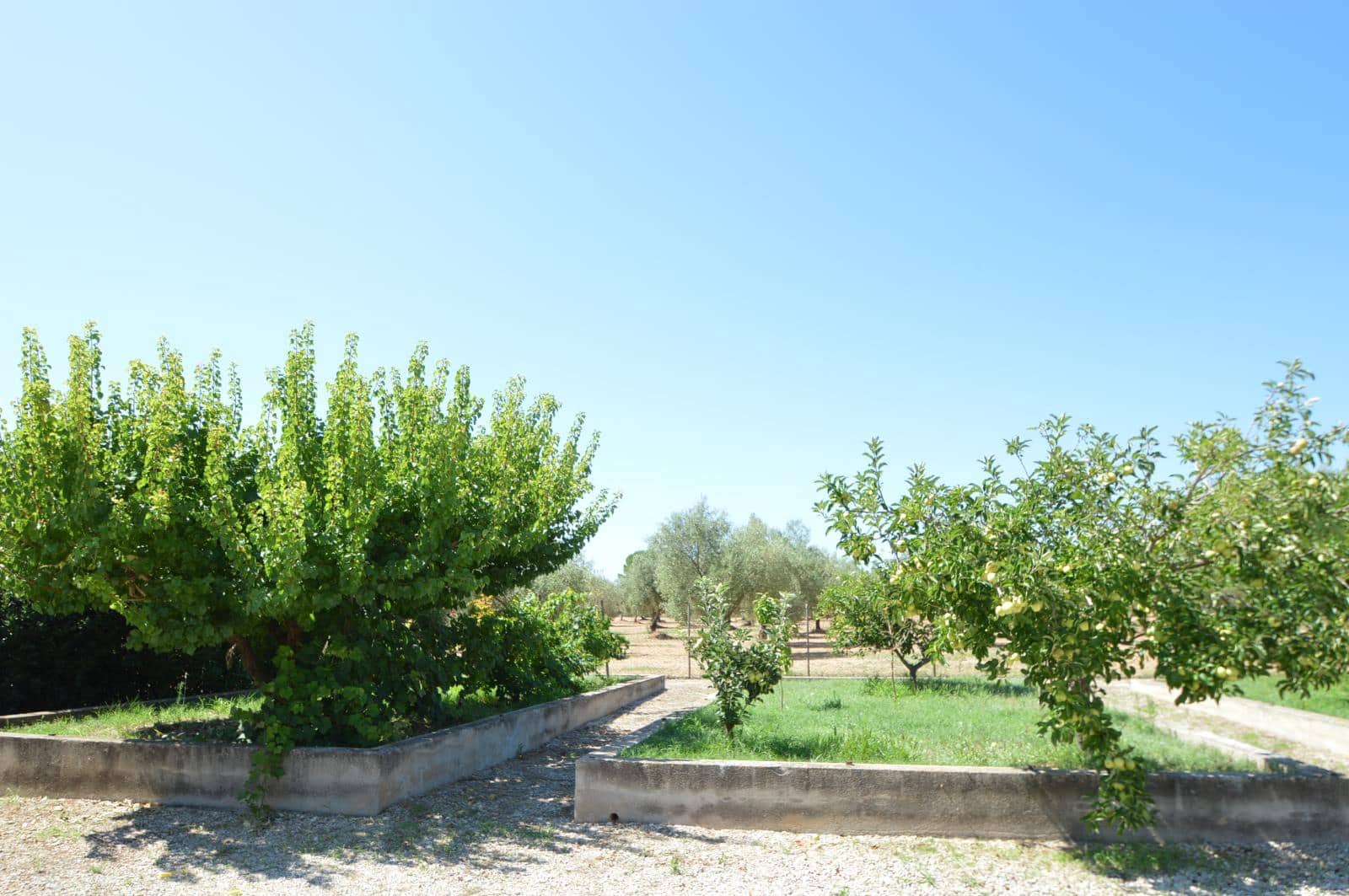 3 soveværelse Finca/Landehus til salg i Ulldecona med swimmingpool garage - € 365.000 (Ref: 9184318)