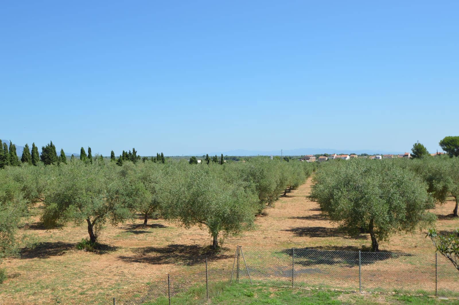 3 soveværelse Finca/Landehus til salg i Ulldecona med swimmingpool garage - € 365.000 (Ref: 9184318)