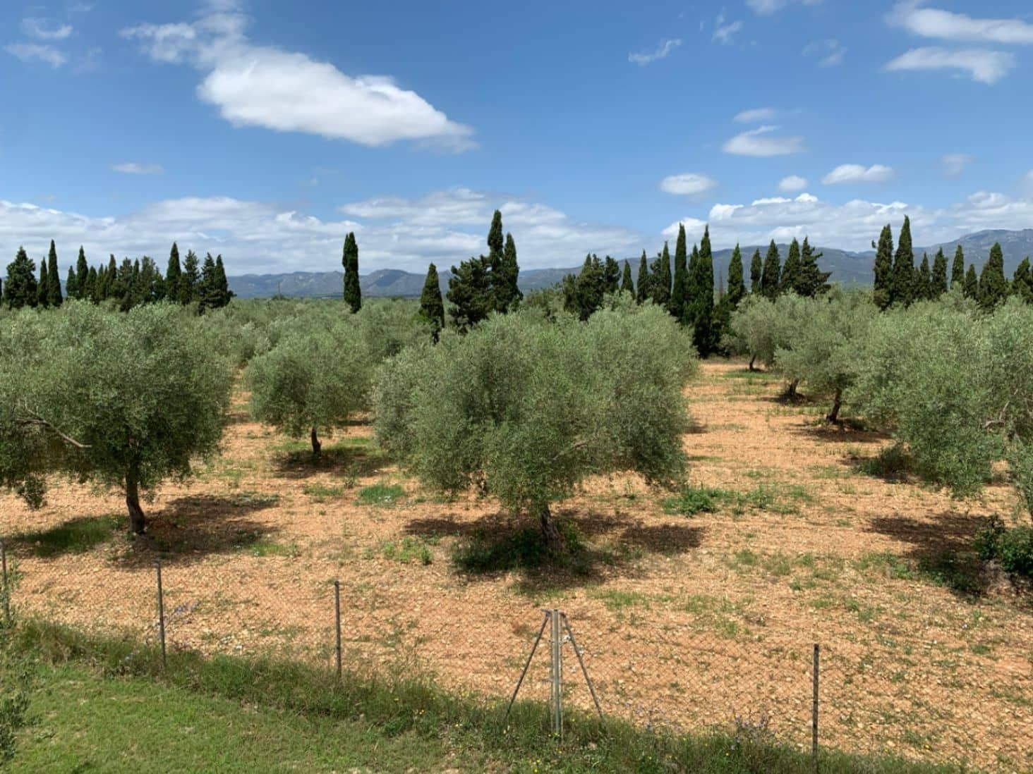 3 soveværelse Finca/Landehus til salg i Ulldecona med swimmingpool garage - € 365.000 (Ref: 9184318)