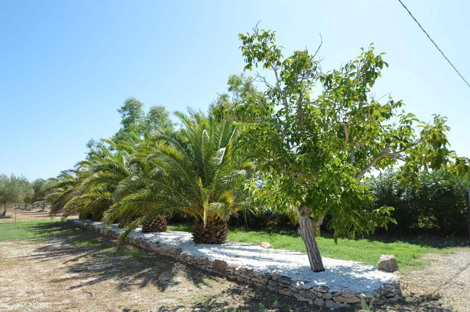 3 soveværelse Finca/Landehus til salg i Ulldecona med swimmingpool garage - € 365.000 (Ref: 9184318)