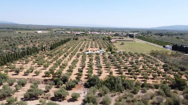 3 bedroom Finca/Country House for sale in Ulldecona with pool garage - € 365,000 (Ref: 9184318)
